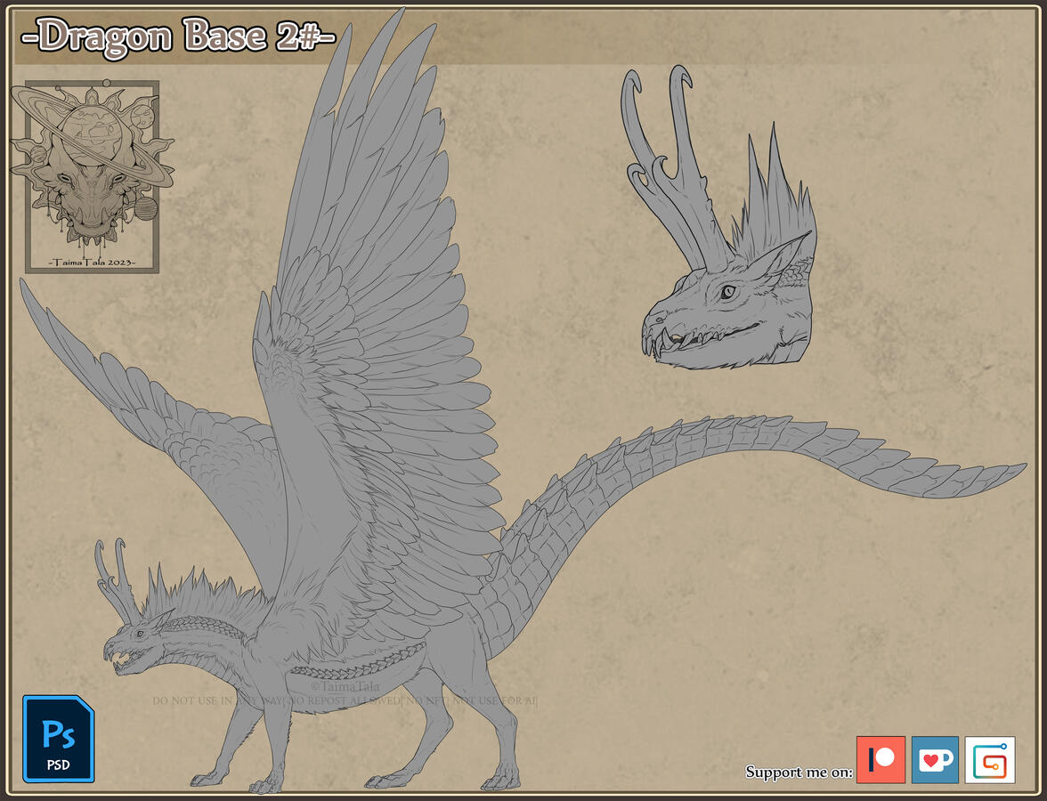 Dragon Template 2#
