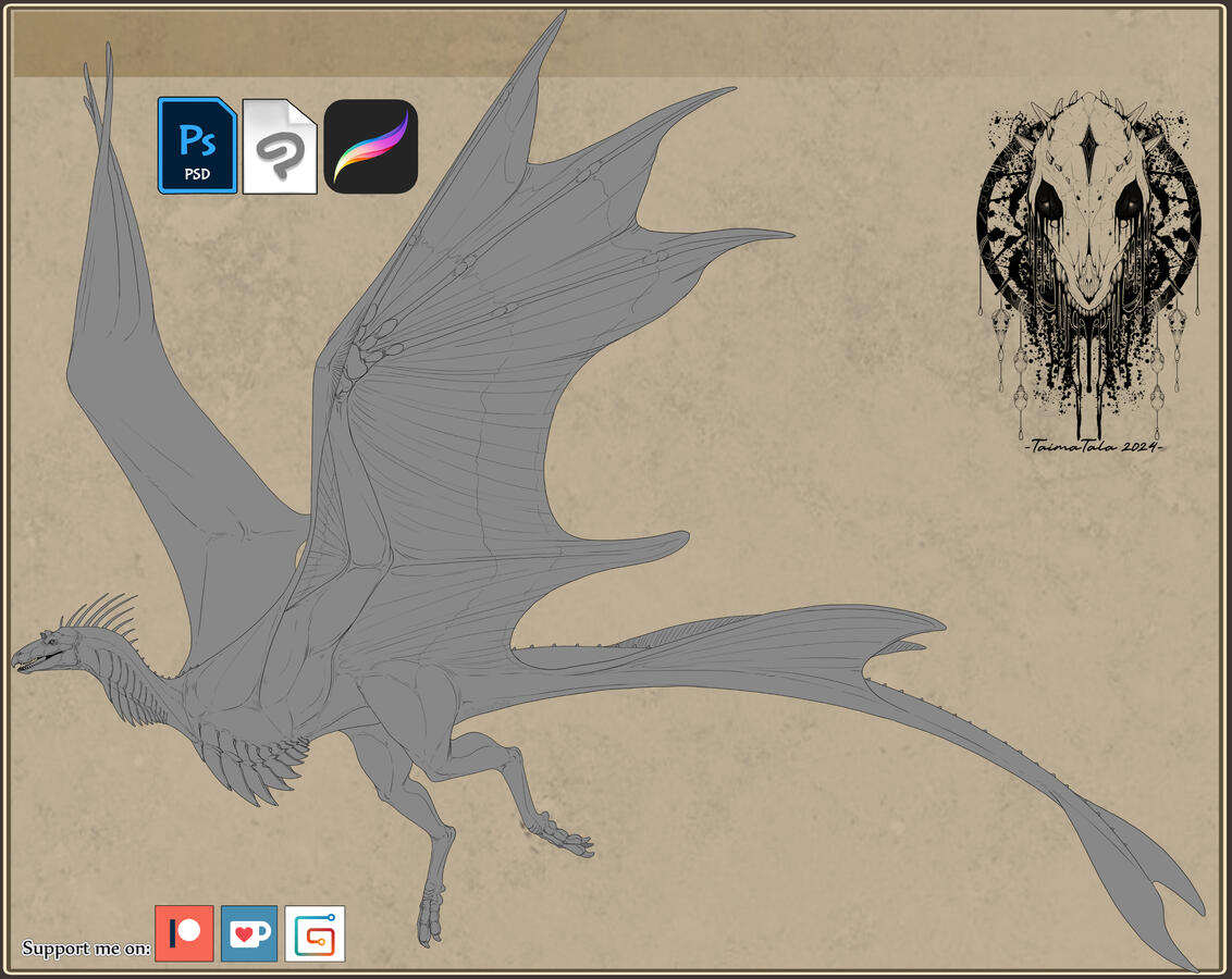 Wyvern 3#