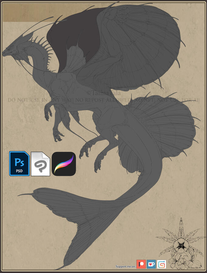 Water Dragon